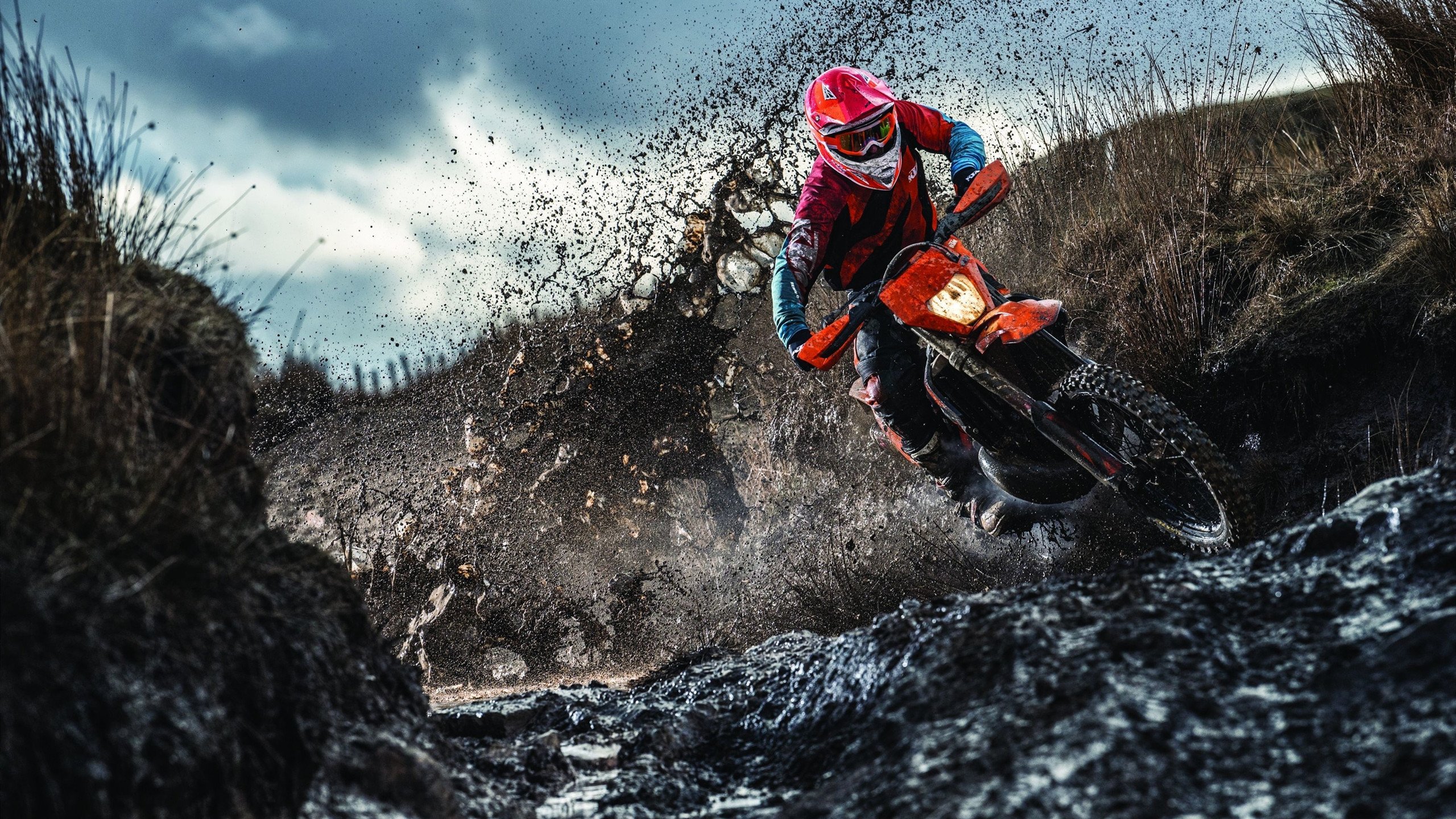 青少年裁判员“实战演练+能力提升”模式在全国部分地区快速推广